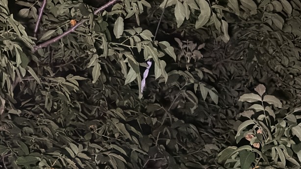 Foto - Patlama sesi mahalleliyi sokağa döktü