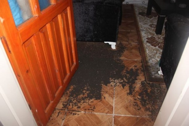 Foto - Patlamada dikkat çeken ayrıntı