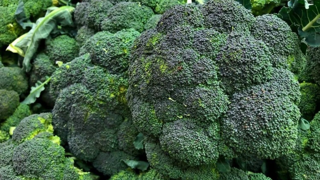 Foto - Patlayana kadar ye: İşte hiç kilo aldırmayan 7 besin!