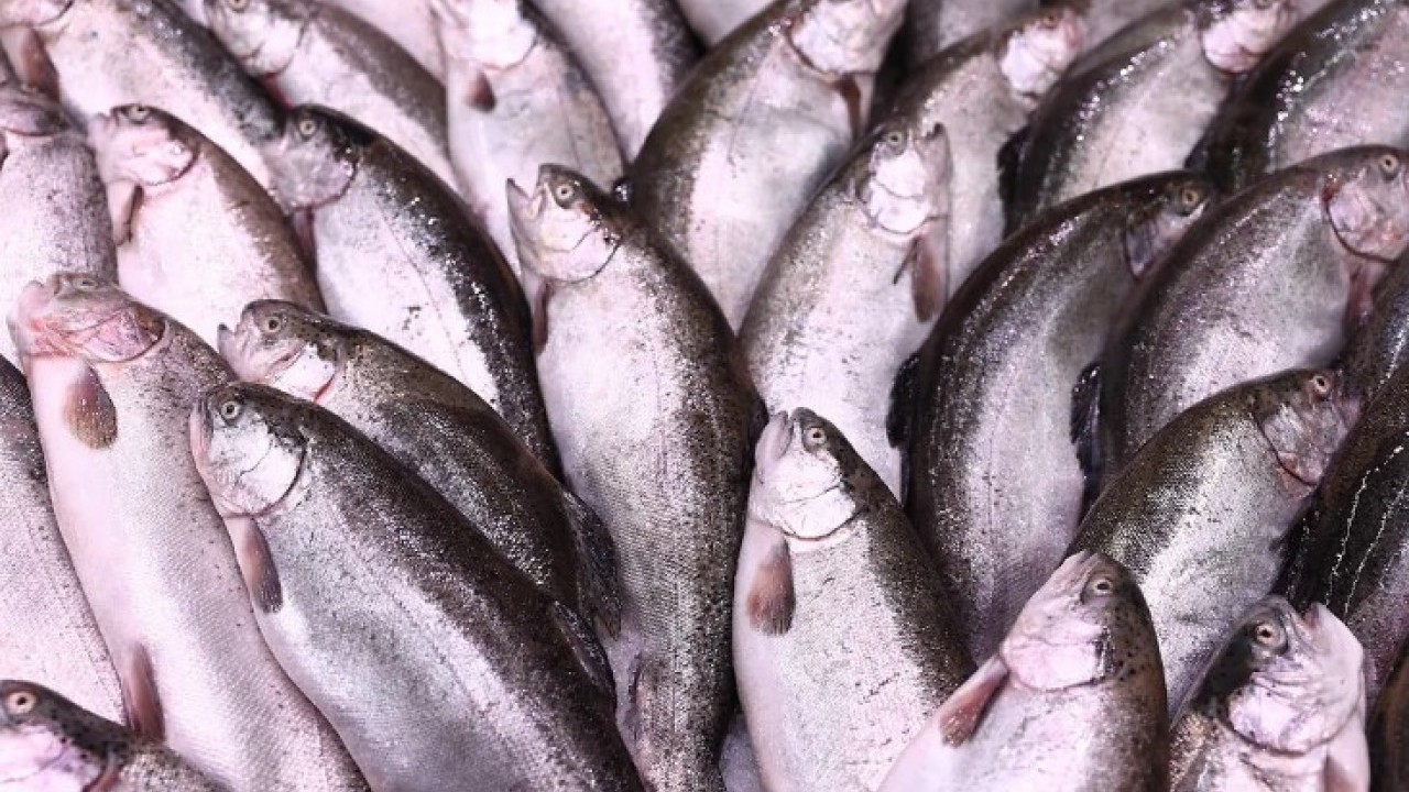 Foto - Patlayana kadar ye: İşte hiç kilo aldırmayan 7 besin!