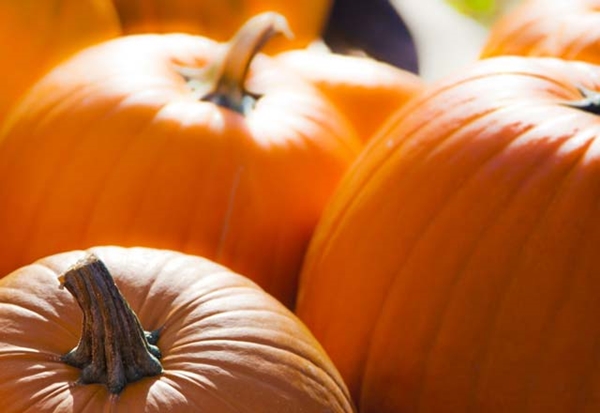 Foto - Patlıcan alırken buna dikkat edin!