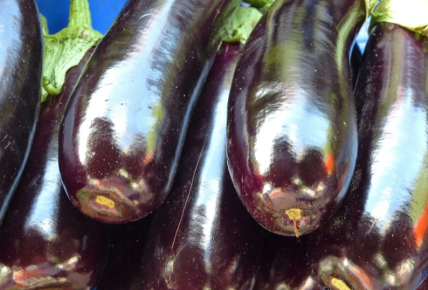 Foto - Patlıcan eğer böyleyse sakın elinize bile almayın, hemen çöpe attın! 