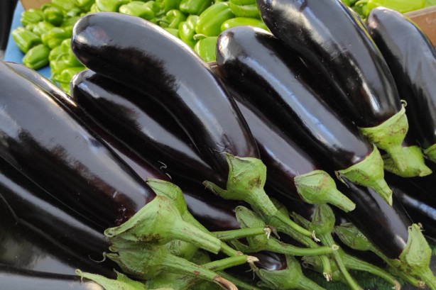 Foto - Patlıcan eğer böyleyse sakın elinize bile almayın, hemen çöpe attın! 