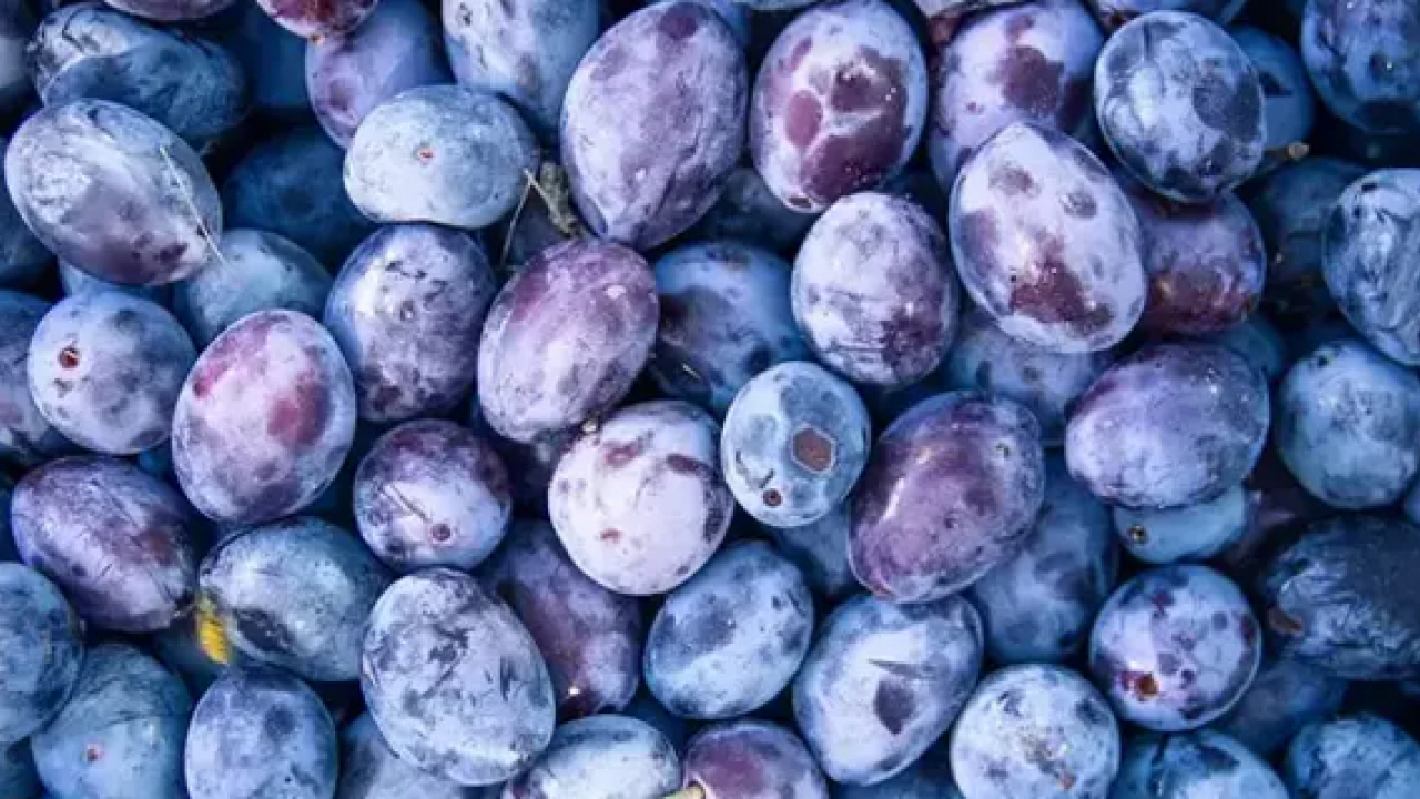 Foto - Pazar tezgahında gören poşet poşet alıyor! İnsülin direncini azaltıyor... 'Mor altın' olarak biliniyor!