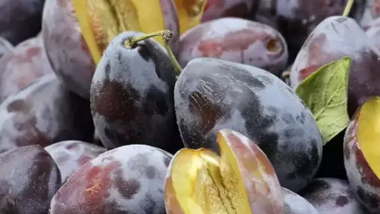 Foto - Pazar tezgahında gören poşet poşet alıyor! İnsülin direncini azaltıyor... 'Mor altın' olarak biliniyor!