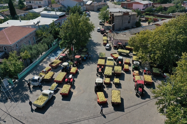 Foto - Pazara bile inmeden alıcı buluyor!