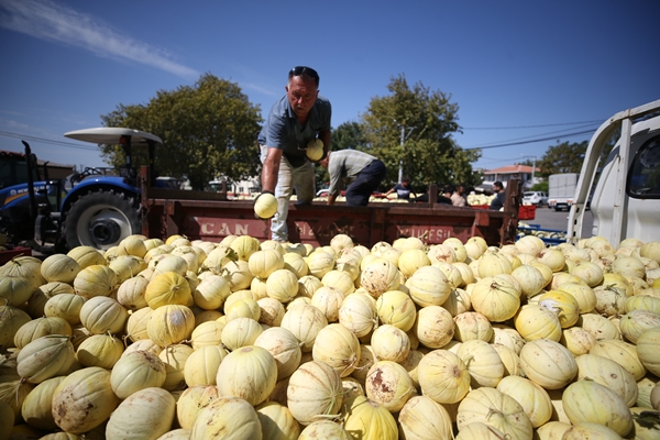 Foto - Pazara bile inmeden alıcı buluyor!