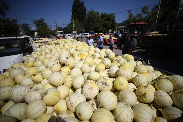 Foto - Pazara bile inmeden alıcı buluyor!