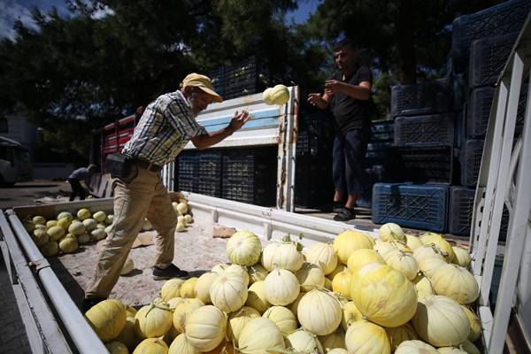 Foto - Pazara bile inmeden alıcı buluyor!