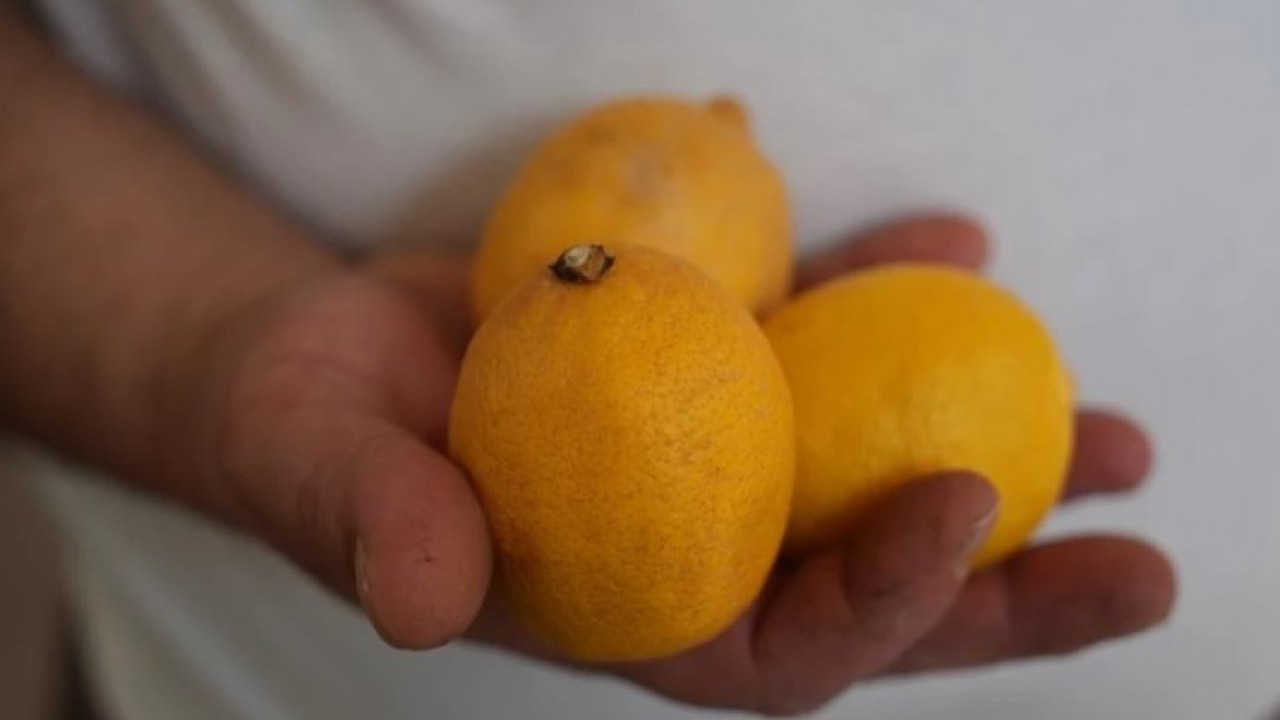Pazarın zam şampiyonu belli oldu! Artık düğünlerde takılacak