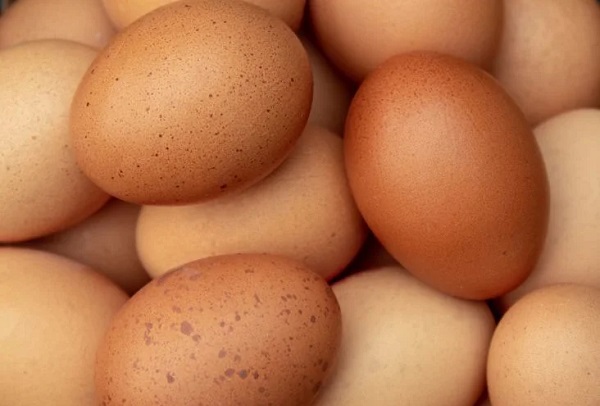 Foto - Pek çok hastalığa yol açıyor! Siz yumurtayı yıkıyor musunuz?