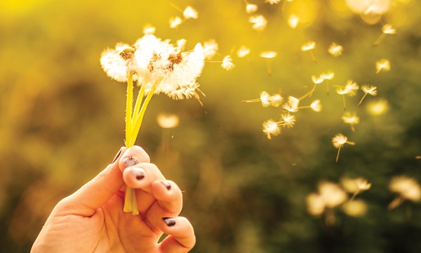 Foto - Pek çok kişi dertli! İşte, bahar alerjisinin tek çözümü