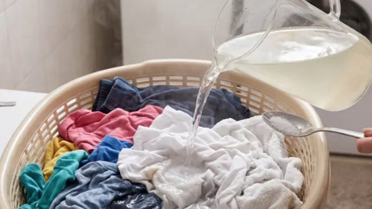 Foto - Peki bu taktiği nasıl uygulayacaksınız? 1 litre ılık suya 3 kaşık eklemek yetiyor!