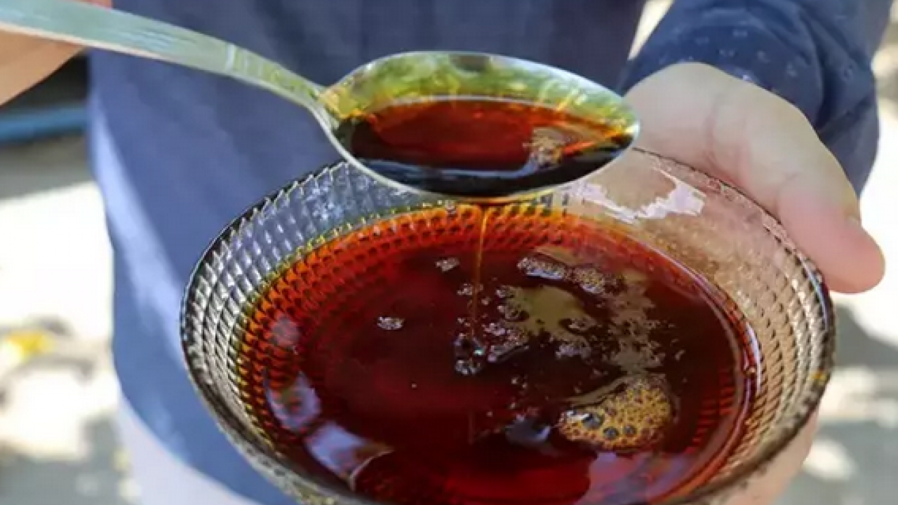 Foto - Pekmezin içine 1 kaşık ekleyin için: Kemikleri beton gibi yapıyor, kolesterolün kökünü kurutuyor, vücuda demir yüklüyor