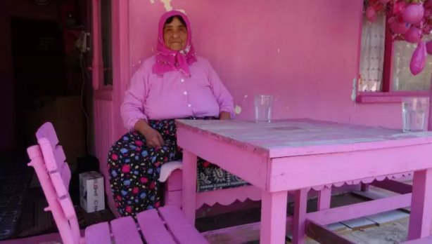 Foto - Pembe dizi gibi Sakine Teyze