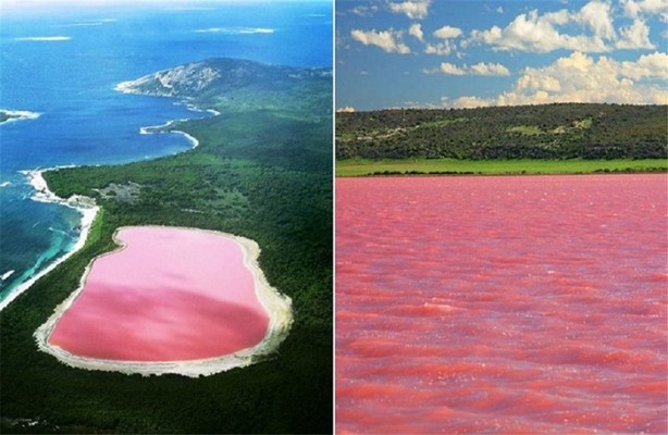 Foto - Pembe gölün sırrı çözüldü!