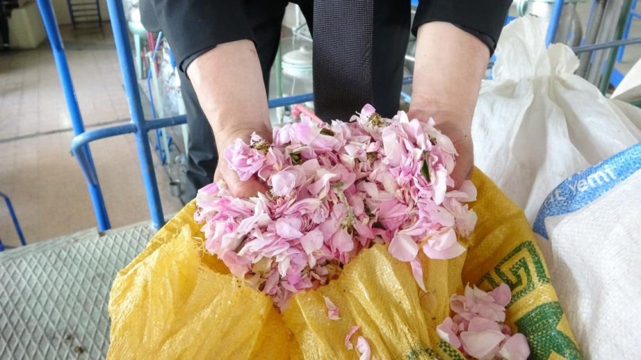Pembe hazine! Kilosu 12 bin Euro’ya alıcı buluyor