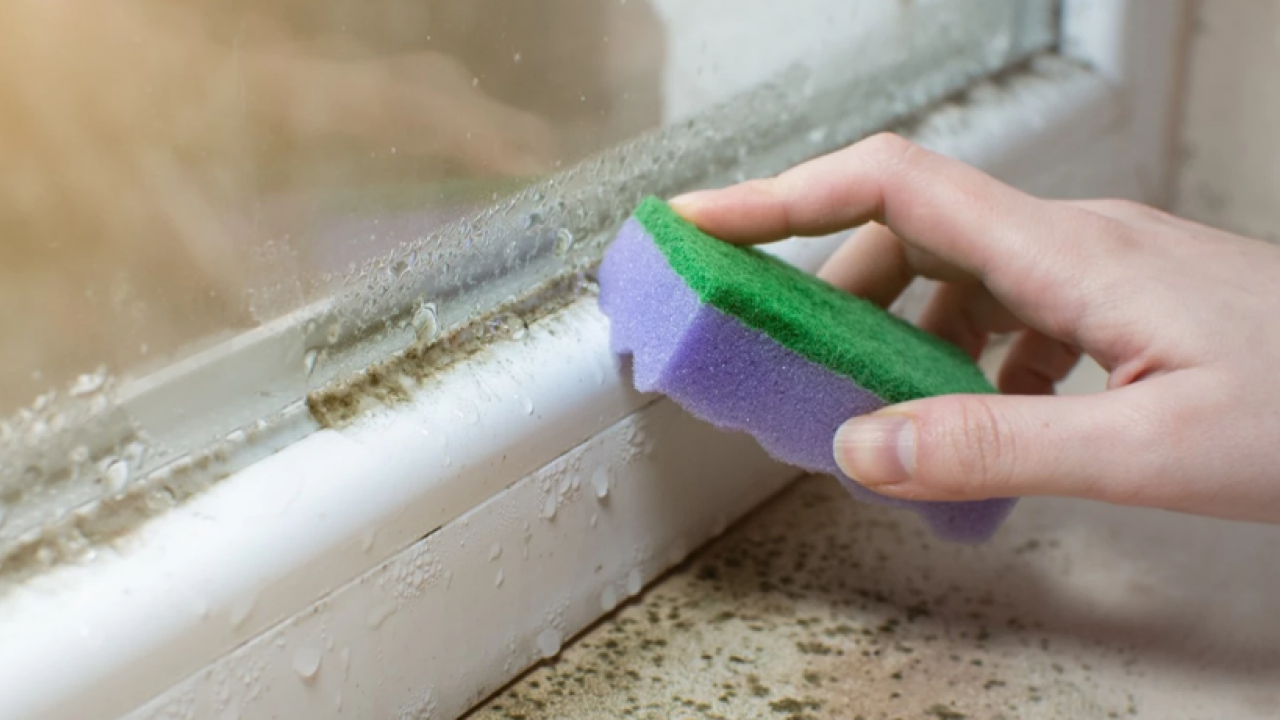 Foto - Pencere kenarlarındaki küfe son: Kış gelmeden doğal çözümle yok edin