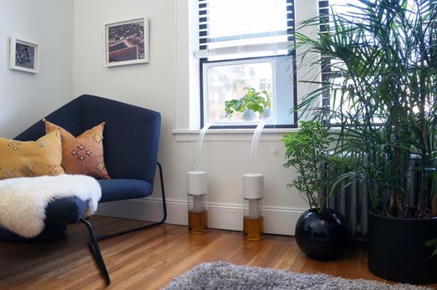 Foto - Pencerede 'tarla' oluşturmak...