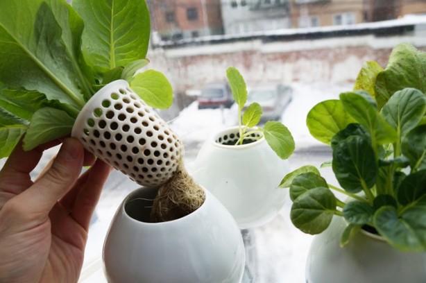 Foto - Pencerede 'tarla' oluşturmak...