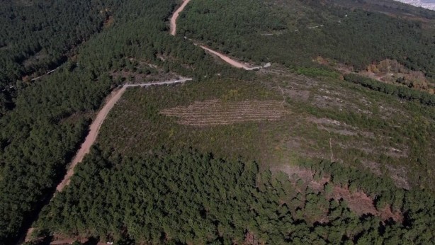 Foto - Pendik’te teröristlerin yaktığı orman havadan görüntülendi