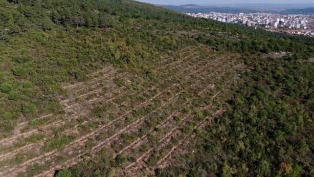 Foto - Pendik’te teröristlerin yaktığı orman havadan görüntülendi