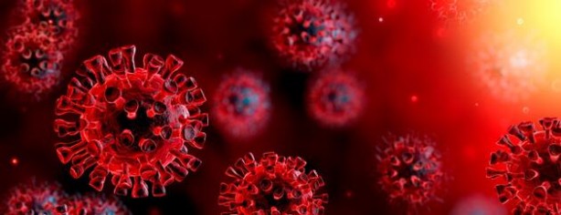 Foto - Pentagon’dan koronavirüs belgesi sızdı! Korkunç ifadeler