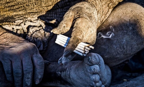 Foto - Perde arkasındaki gerçek şaşırttı! ‘Dünyanın en kirli adamı’ndan haber var
