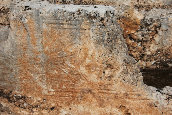 Foto - Perre Antik Kent’te şaşırtan keşif