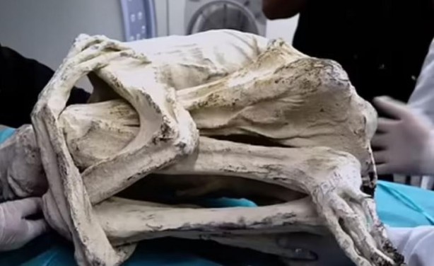 Foto - Peru’da bulunan uzaylı mumya gizemi! Parmak izleri şaşkınlığa neden oldu