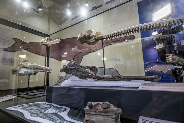 Peru’da heyecanlandıran keşif! 3,5 metre boyunda