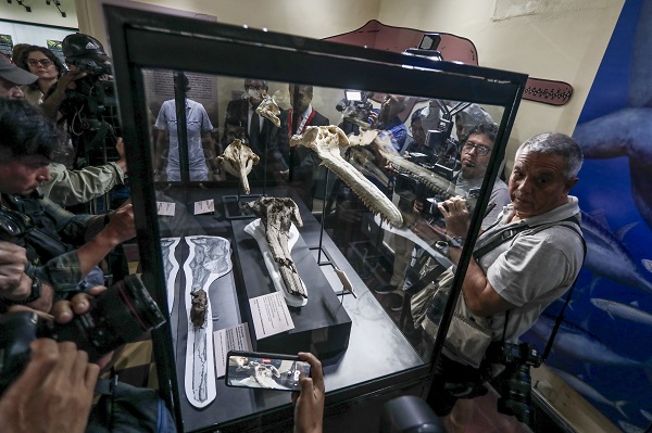 Foto - Peru’da heyecanlandıran keşif! 3,5 metre boyunda