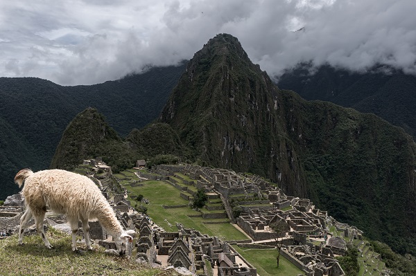 Foto - Peru'daki antik İnka şehri: Machu Picchu