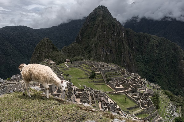 Foto - Peru'daki antik İnka şehri: Machu Picchu