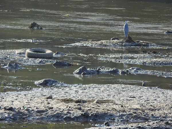 Foto - 'Pes' dedirten manzara! Tunca Nehri'ne öyle bir şey attılar ki!