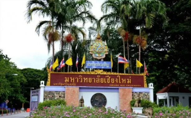 Foto - Peşinen söyleyelim biber değil! Fotoğrafa bakınca ne görüyorsunuz?