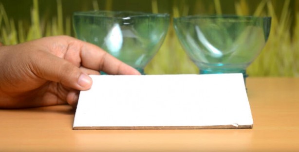 Foto - Pet şişeyi sakın çöpe atmayın bakın ne işe yarıyormuş