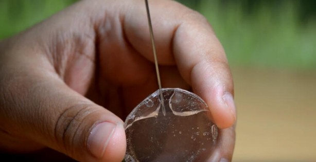 Foto - Pet şişeyi sakın çöpe atmayın bakın ne işe yarıyormuş