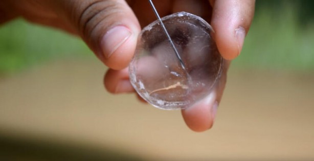 Foto - Pet şişeyi sakın çöpe atmayın bakın ne işe yarıyormuş