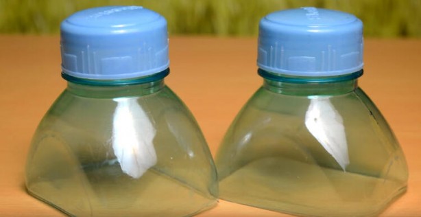 Foto - Pet şişeyi sakın çöpe atmayın bakın ne işe yarıyormuş