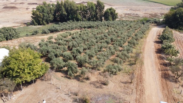 Foto - Petrol araması yapılan ilçede ilginç olay! Yolu kapattılar