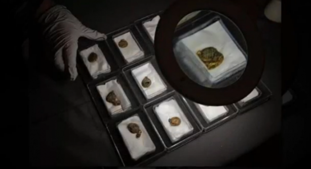 Foto - Petrol ararken altın yatağı bulundu! Derine indikçe resmen fışkırdı