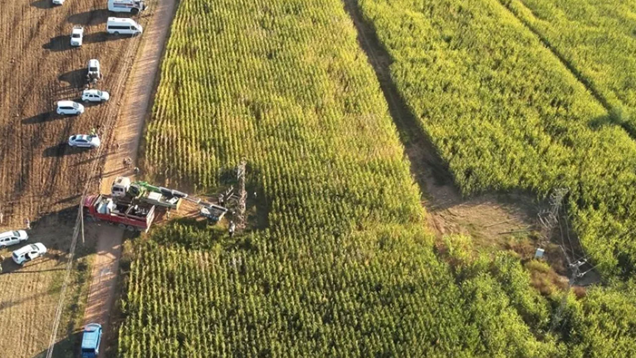Foto - Petrol beklerken arazilerden fışkırana bakın! Namuslu vatandaşın sinir uçlarıyla oynanıyor