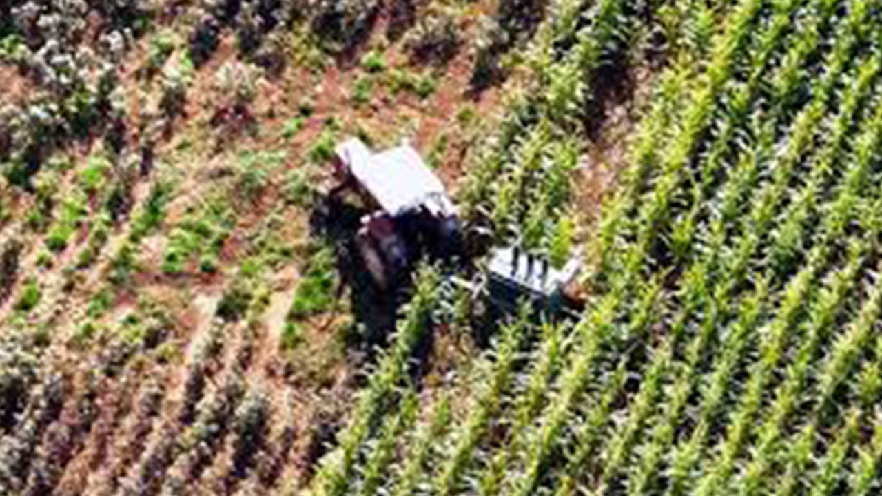 Foto - Petrol beklerken arazilerden fışkırana bakın! Namuslu vatandaşın sinir uçlarıyla oynanıyor