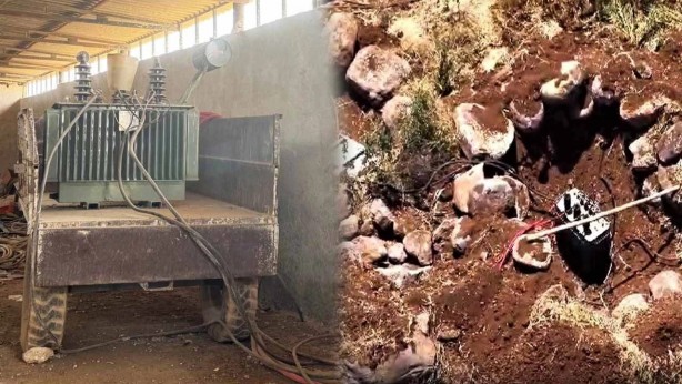 Foto - Petrol beklerken tarlalardan bakın ne fışkırıyor! Bunun adı alçaklıktan başka bir şey değil