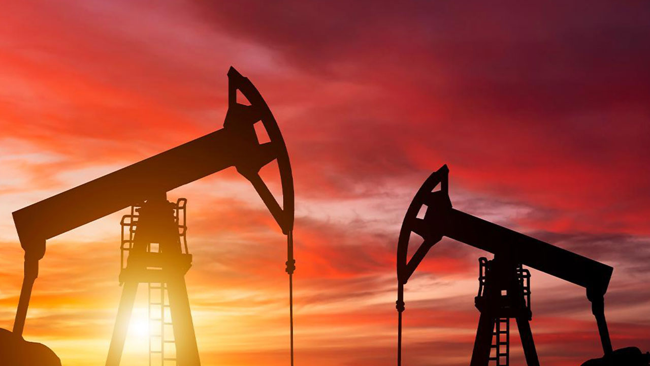 Petrol devi hükümete başvurdu! Petrol için arazilere el konulmasını istiyorlar