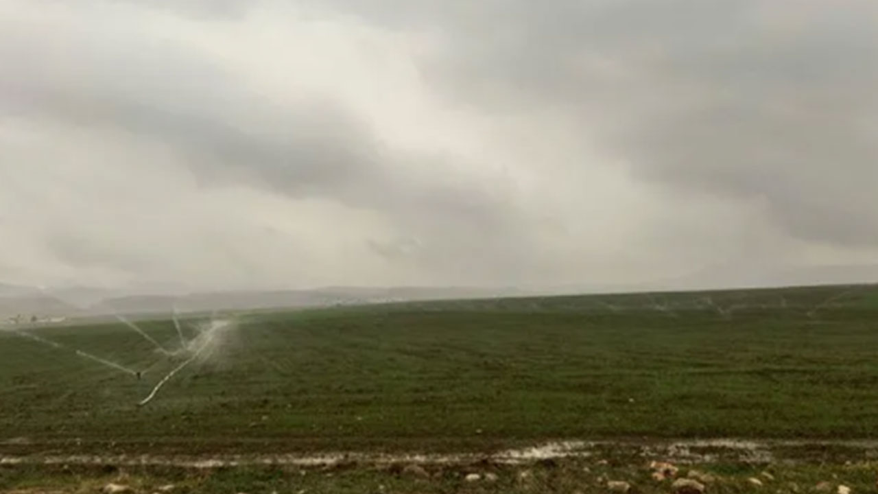 Foto - Petrol fışkırması beklenirken koca araziden çıkana bakın! Sizi Allah bildiği gibi yapsın