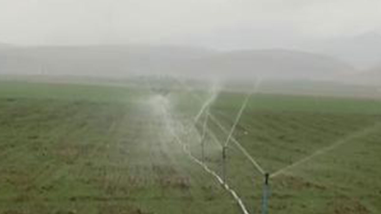 Foto - Petrol fışkırması beklenirken koca araziden çıkana bakın! Sizi Allah bildiği gibi yapsın