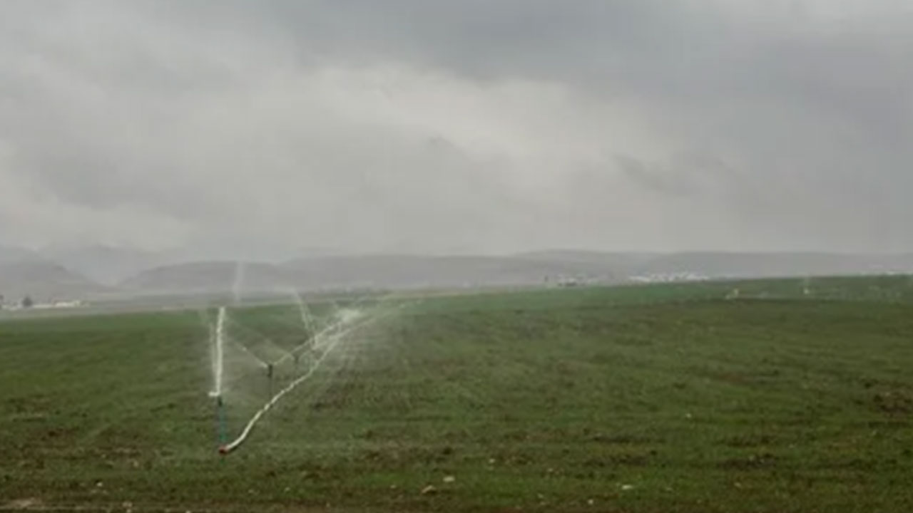 Petrol fışkırması beklenirken koca araziden çıkana bakın! Sizi Allah bildiği gibi yapsın