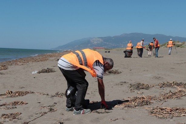 Foto - Petrol sızıntısı kirliliğe neden olmuştu! İmha ediliyor